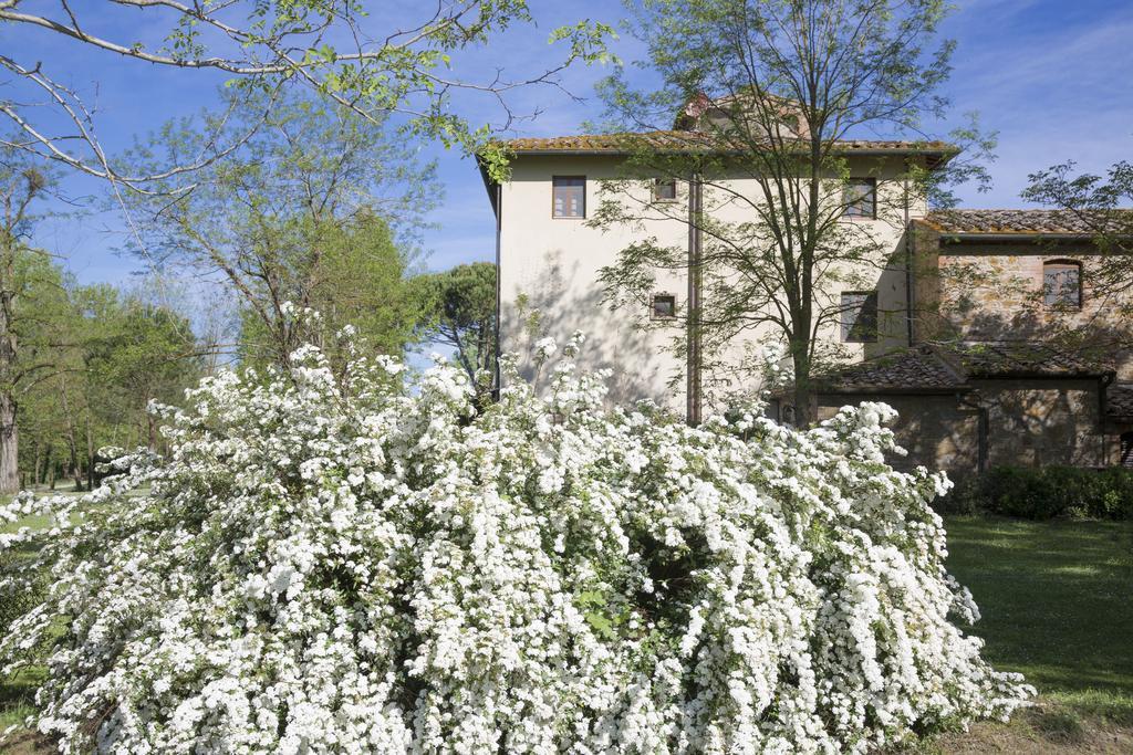 בית הארחה מונטאיונה 	Borgo San Benedetto מראה חיצוני תמונה